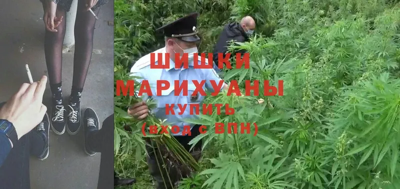 как найти закладки  Наволоки  Марихуана THC 21% 